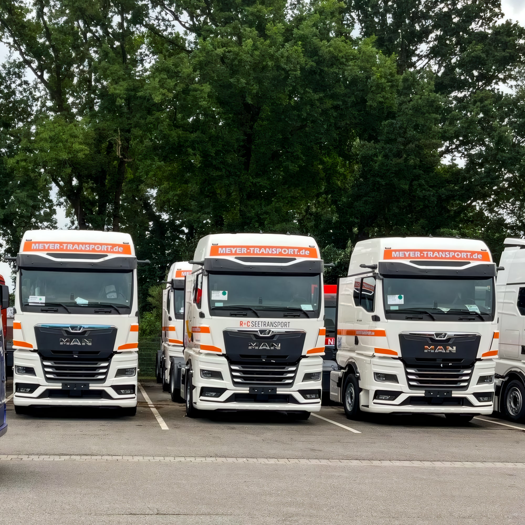 Beispiel einer Folierten LKW-Flotte von Meyer Transport